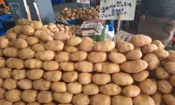 Patates fiyatları gündem olmuştu: Bakanlıktan açıklama geldi!