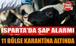 Isparta'da şap alarmı: 11 bölge karantina altında