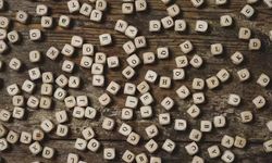 2025 yılının kelimesi belli oldu