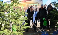 Isparta’da “Milli Ağaçlandırma Günü”nde 69 bin 250 fidan toprakla buluştu