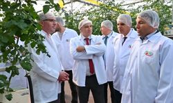 Denizli’de “Topraktan Sofraya Bilinçli Üretim Projesi” başlıyor