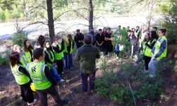 Yazılı Kanyon Tabiat Parkı’nda Orman Botaniği Uygulaması Gerçekleştirildi
