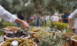 Manavgat’ta Zeytin ve Zeytinyağı Festivali İçin Geri Sayım