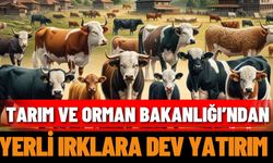 Tarım ve Orman Bakanlığı’ndan yerli ırklara dev yatırım