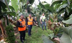 Antalya'da Hortumdan Etkilenen Seralar Yerinde İncelendi