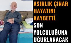 Bucak’ta Asırlık Çınar Hayata Veda Etti