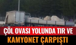 Çöl Ovası Yolunda Tır ve Kamyonet Çarpıştı