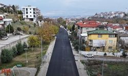Denizli Namık Kemal Caddesi Sıcak Asfaltla Yenilendi