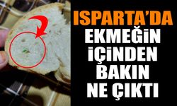 Isparta'da ekmeğin içinden bakın ne çıktı Şok iddia