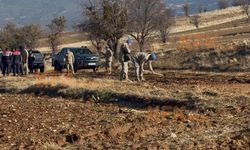 Başsız Bulunan Çobanın Ölümünde Yeni Gelişmeler