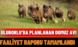 Uluborlu’da planlanan domuz avı faaliyet raporu tamamlandı