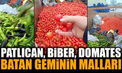 Antalya’da Halde Çöpe Atılan Sebzeler Tepki Çekti
