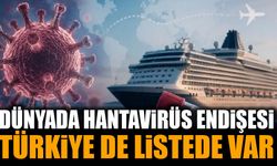 Dünya Sağlık Örgütü Duyurdu: Türkiye Dahil Birçok Ülkede Hantavirüs Alarmı