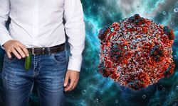 Hantavirüs penis boyutunu küçültür mü? Sosyal medyadaki iddia için bilimsel yanıt