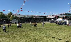 47. Geleneksel Uluborlu Kiraz Festivali Coşkuyla Gerçekleştirildi