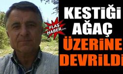 Kestiği ağaç üzerine devrildi