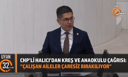 CHP'li Halıcı'dan Kreş ve Anaokulu Çağrısı: 'Çalışan Aileler Çaresiz Bırakılıyor'