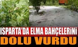 Isparta'da elma bahçelerini dolu vurdu