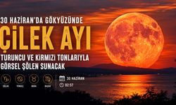 Çilek Ayı Ne Zaman? Geri Sayım Başladı