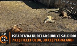 Isparta Aksu'da Kurt Saldırısı: 7 Keçi Telef Oldu, 30 Keçi Yaralandı