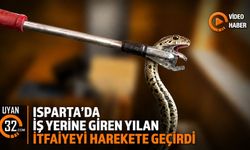 İş Yerine Giren Yılan İtfaiyeyi Harekete Geçirdi