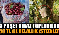3 poşet kiraz topladılar, 50 TL bırakıp helallik istediler! Isparta detayı dikkat çekiyor