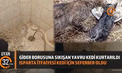 Isparta'da Gider Borusuna Sıkışan Yavru Kedi Kurtarıldı