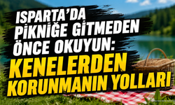 Isparta'da Piknik Öncesi Kene Riski: Korunma Yolları ve Doğal Çözümler