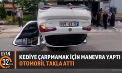 Kediye çarpmamak için manevra yaptı Otomobil takla attı