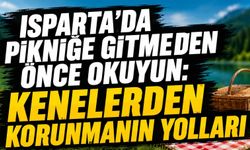 Isparta'da Piknik Öncesi Kene Riski: Korunma Yolları ve Doğal Çözümler
