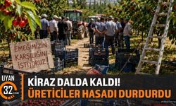 Kiraz Dalda Kaldı! Üreticiler Hasadı Durdurdu