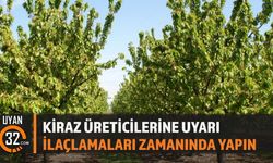 Kiraz Üreticilerine Kritik Uyarı: İlaçlama Zamanı Geldi
