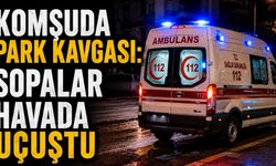 Komşuda park kavgası: Sopalar havada uçuştu