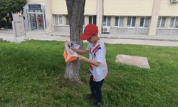 Minik Oryantiringciler Isparta İl Birinciliğinde Yarıştı