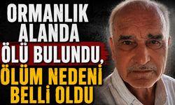 Ormanlık alanda ölü bulundu ölüm nedeni belli oldu