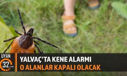Yalvaç'ta Kene Alarmı! İlaçlama Çalışması Başlıyor