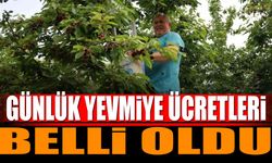 Kiraz günlük yevmiye ücretleri belli oldu