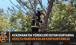 Ağaçta Mahsur Kalan Kediyi İtfaiye Kurtardı
