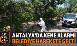 Aksu Belediyesi, Kene Şikayetlerine Kayıtsız Kalmadı