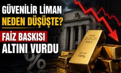Güvenilir Liman Neden Düşüşte? Faiz Baskısı Altını Vurdu