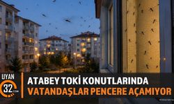 Atabey Yukarı TOKİ Konutları'nda Sinek Kabusu: Vatandaşlar Çözüm Bekliyor