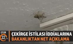 Çekirge İstilası İddialarına Bakanlıktan Net Açıklama