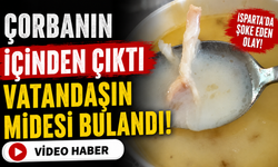 Çorbanın İçinden Çıktı; Vatandaşın Midesi Bulandı!