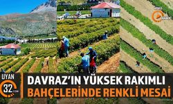 Davraz'ın Yüksek Rakımlı Bahçelerinde Renkli Mesai