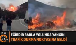 Eğirdir-Barla Yolunda Yangın Paniği!