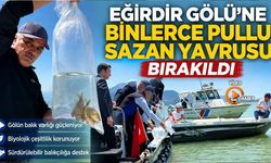 Eğirdir Gölü'ne Binlerce Pullu Sazan Yavrusu Bırakıldı