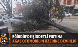 Eğirdir'de Fırtına Ağacı Yerinden Söktü: Otomobilde Hasar Var