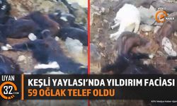 Eğirdir'de Yıldırım Düşmesi: 59 Oğlak Telef Oldu, Üreticiler Destek Bekliyor
