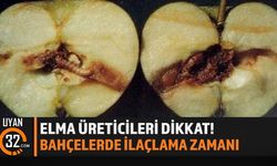 Elma İçkurdu Alarmı! Üreticilere Gecikmeden İlaçlama Uyarısı