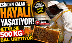 Eşinden Kalan Hayali Yaşatıyor; Yıllık 500 Kg Bal Üretiyor